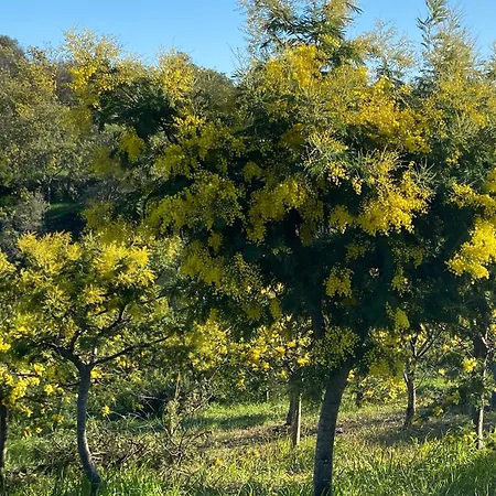 Apartmán Cosy Deux Pieces Cote Pinede Saint-Raphaël