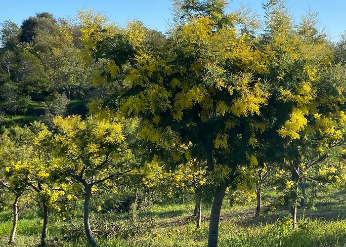 Apartment Cosy Deux Pieces Cote Pinede Saint-Raphael (Var)