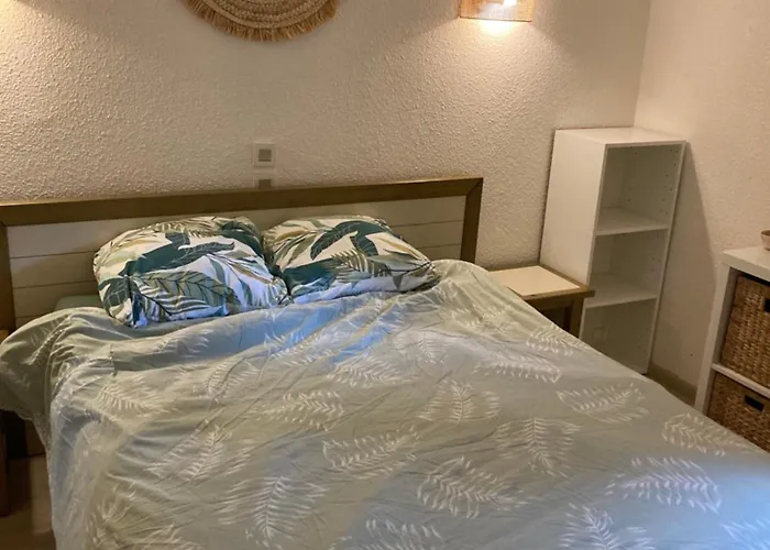 Cosy Deux Pieces Cote Pinede Apartment *